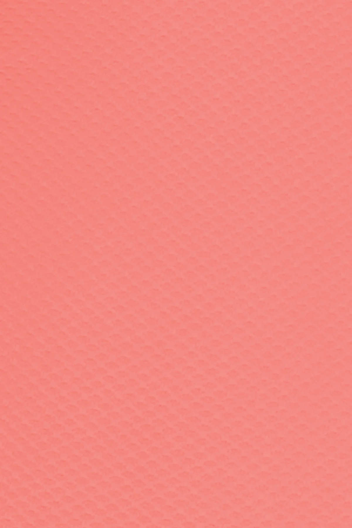 Thumbnail 22